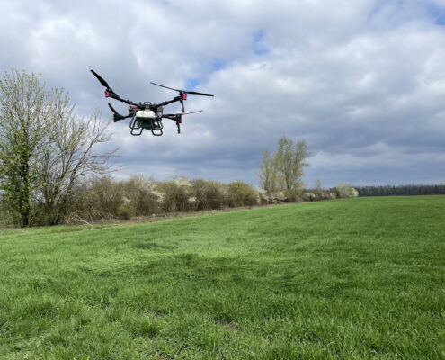 20250402-115230-img-2839