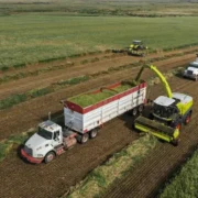 Na poljima u Teksasu, tri entuzijasta odlučila su srušiti rekord iz 2001. godine kada je model Jaguar 900 postavio rekord od 1.891 tonu u 12 sati, a cilj novog ispitivanja bio je postići barem dvostruko više