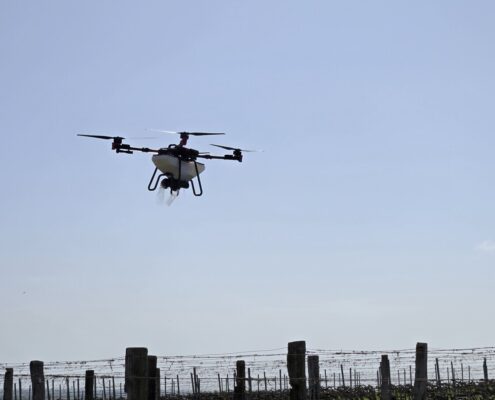 model-xag-p100-jerkovic-doo-11