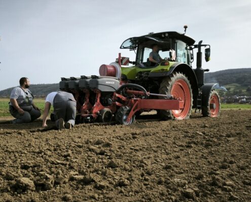horsch